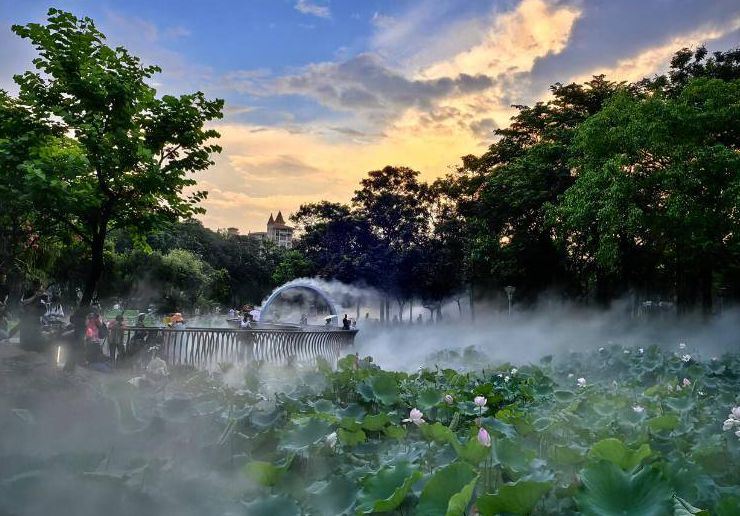 那一片景色宛如仙境