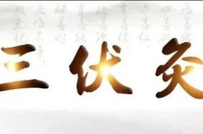 6.21開貼！三伏天灸來了，抓緊這個“冬病夏治”好時機