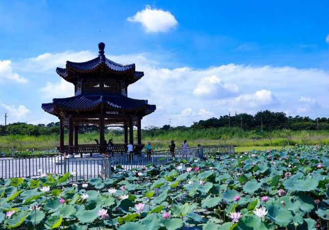南方醫(yī)科大學(xué)順德校區(qū)：獨具嶺南風(fēng)情