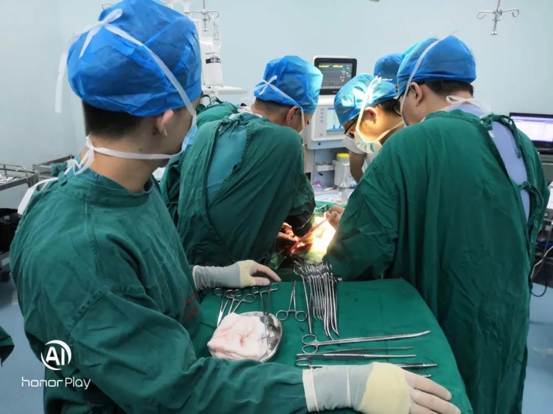 與死神賽跑！龍江醫(yī)院成功搶救1名脾破裂休克患者
