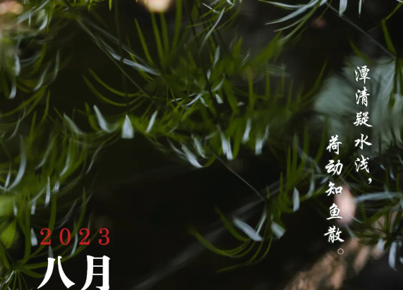 快看，8月清暉學堂上新啦！