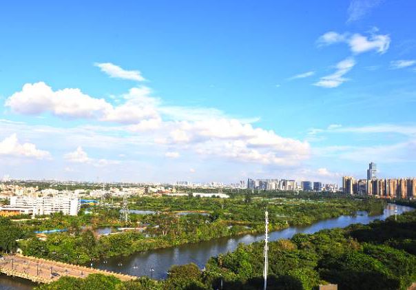 滿眼皆綠意，處處是風(fēng)景