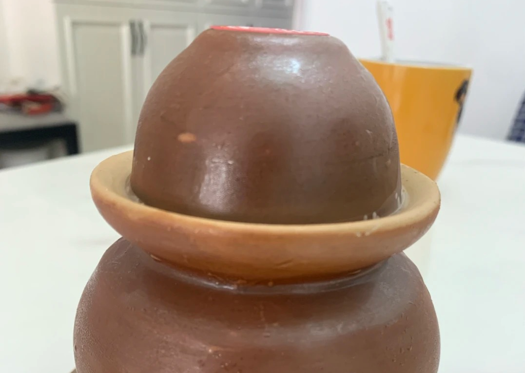 龍江發現一樣好東西，叫“激死蟻”？
