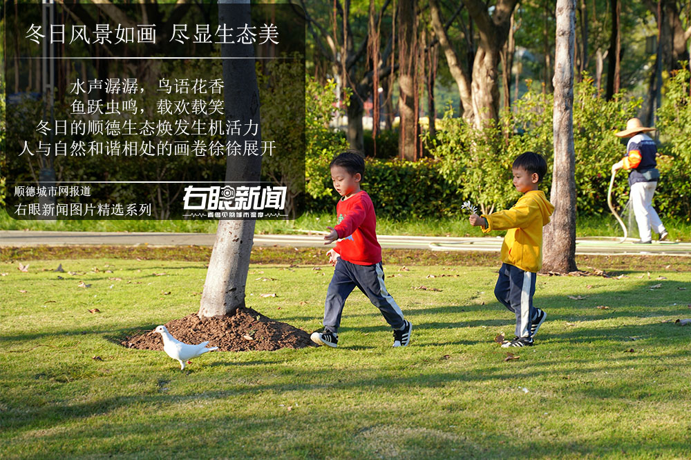右眼新聞：順德冬日風景如畫，盡顯生態美