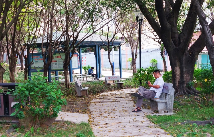 是真的！在大良實現(xiàn)“20分鐘公園理論”