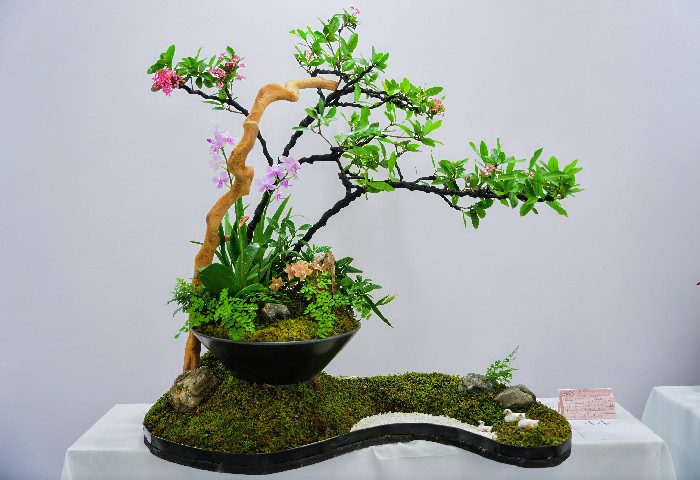 技能之花春季綻放，順德這項技能競賽讓花卉從業者“大展身手”