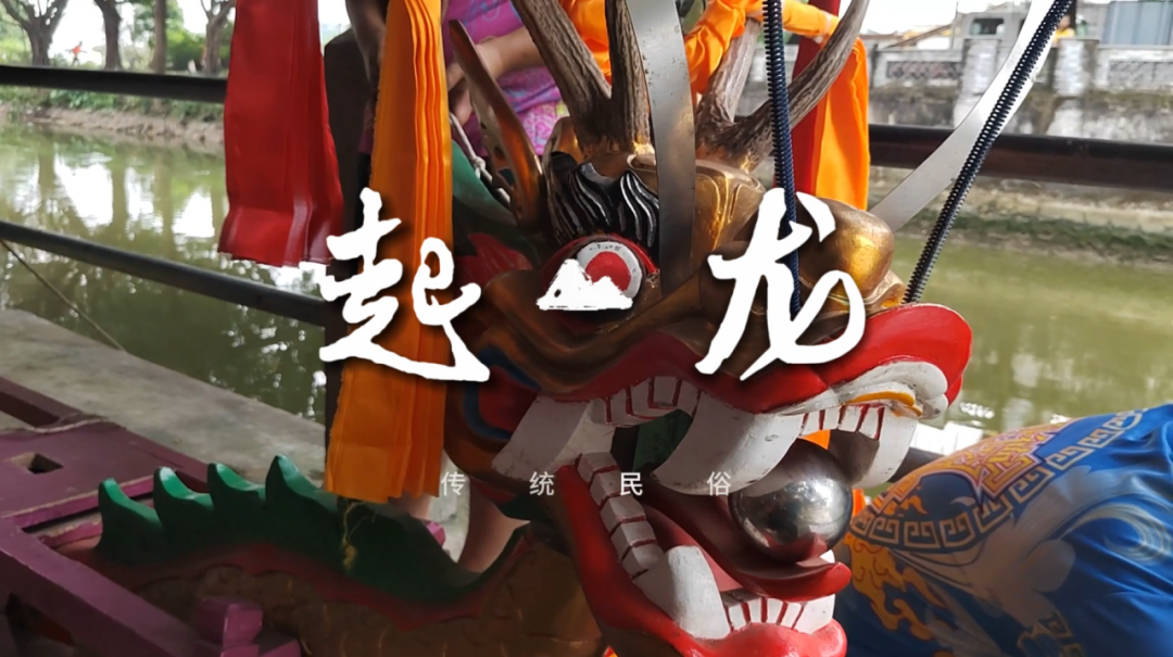 起龍！杏壇開始進入“龍舟時間”→