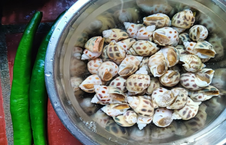 白灼花螺，夏日下酒伴粥好菜