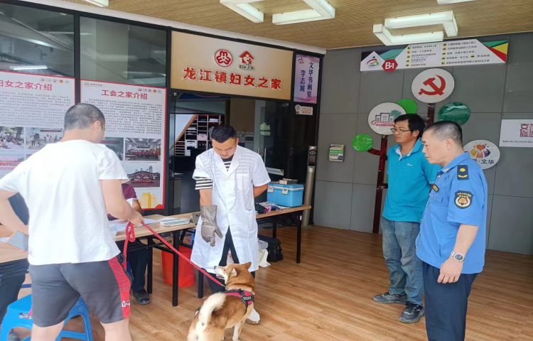 超方便！養犬“一站式”服務進龍江村居