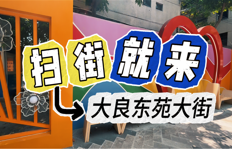 【視頻】大良最好逛的地方，在東苑大街？