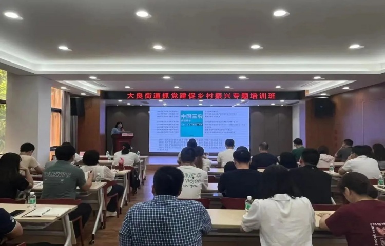 錨定“百千萬”！大良舉辦抓黨建促鄉村振興專題培訓班