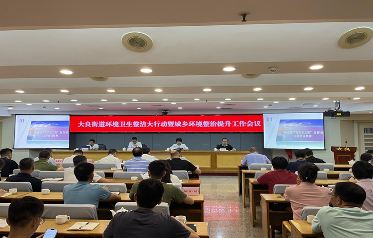 大良：全力落實“三個三”，推動城鄉環境大提升