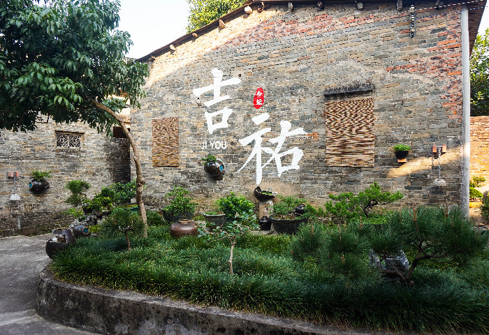 寶藏古村煥新記！體驗杏壇吉祐綠意生活
