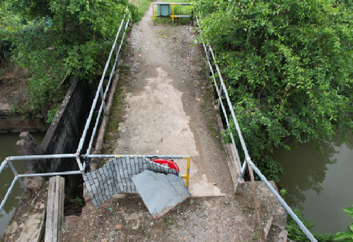 聚力百千萬，陳村弼教村“一航橋”建成