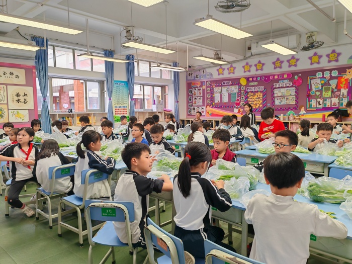 家校大聯(lián)動(dòng)，世紀(jì)小學(xué)開(kāi)啟“趣”勞動(dòng)之旅