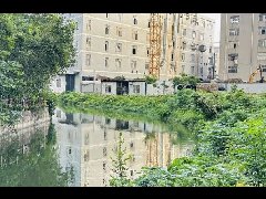 良槎涌成功“摘帽”！龍江黑臭水體實現“清零”！