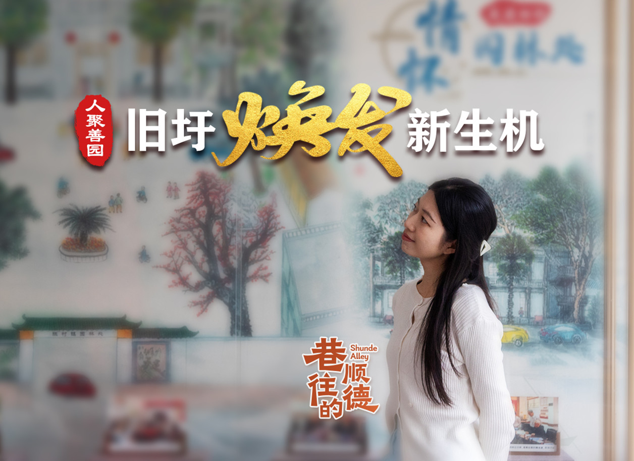 巷往的順德④|陳村舊圩：人聚善園，煥發新生機