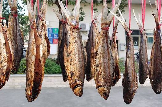 順德網友：鯪魚干怎么曬不翻車？