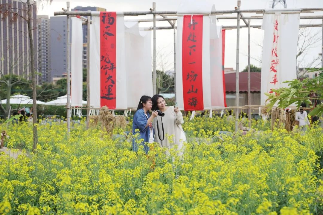 免費！順德+攜手陳村禾美農場，邀你來賞春光