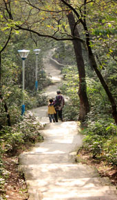 冬日的陽光灑鳳嶺