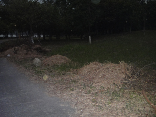 順峰山公園內發生火災，市民出游請注意用火