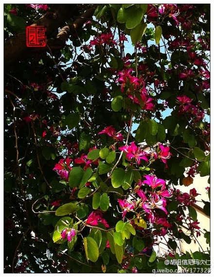 秋暖花開