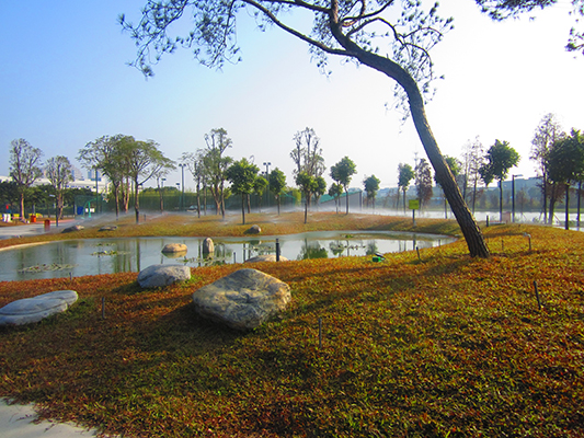 獨特美景　伊之密體育公園連專家都稱贊