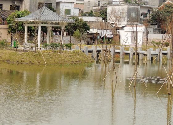 有了污水處理池　臭魚塘成了“白富美”