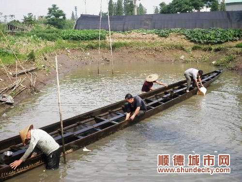 端午臨近　龍舟紛紛出水備戰(zhàn)賽事
