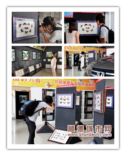 帶上相機 去龍江廣本“采風”