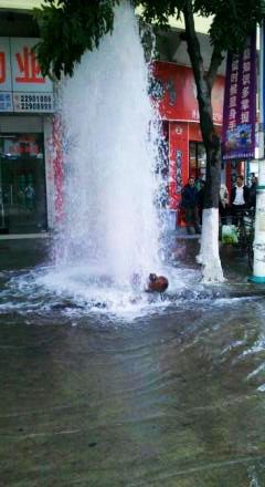 水管爆開　噴泉即來
