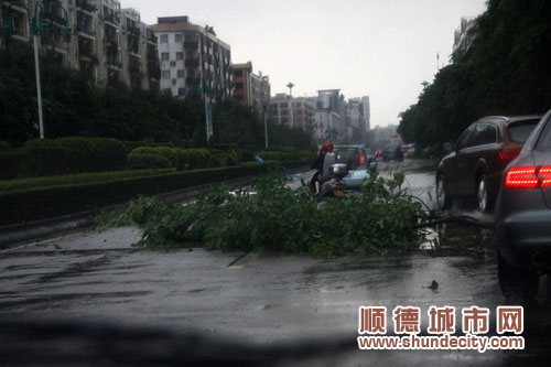 大風吹“傷”的市政設施修復ing