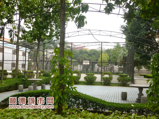 三月檢查美景各異，你追我趕競爭更烈