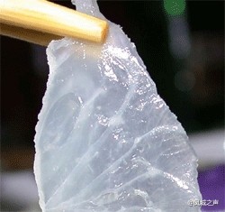順德人吃魚