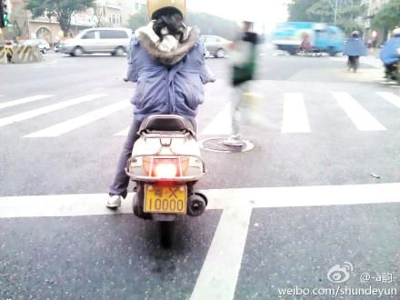 很牛X的車牌