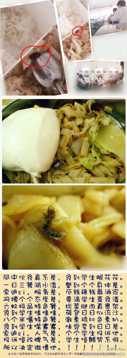 學校食堂飯菜能不能好點