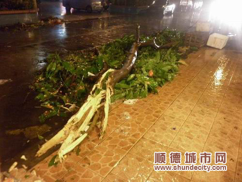 狂風冰雹突襲順德