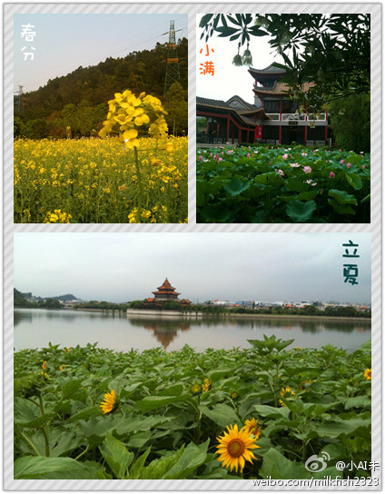 節氣邂逅美麗