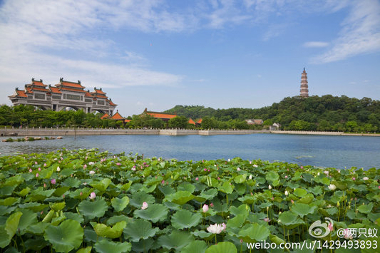 這么藍(lán)的天