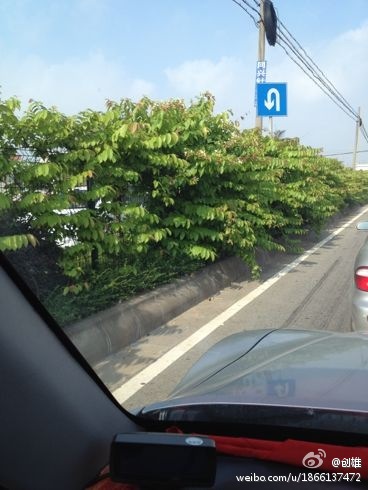 茂盛也是個問題