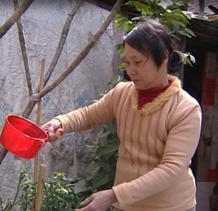 慈善圓夢 小夢想變成大現實