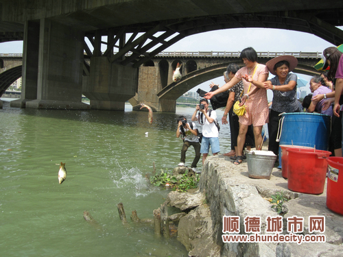 舉村同樂，放生千斤鯉魚
