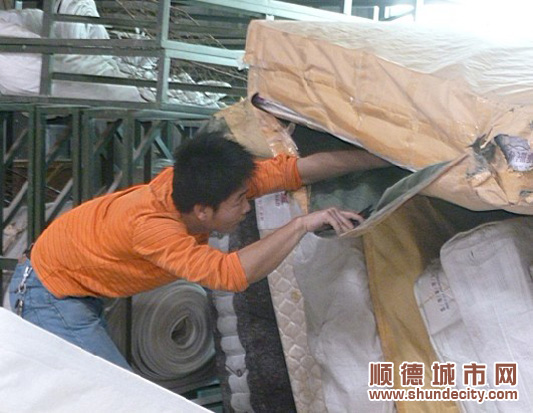 樂從：兵分十路，立案調查10宗