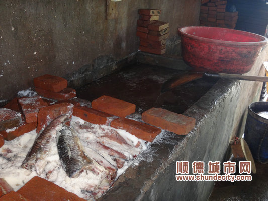 三打升溫，均安搗毀一咸魚黑作坊