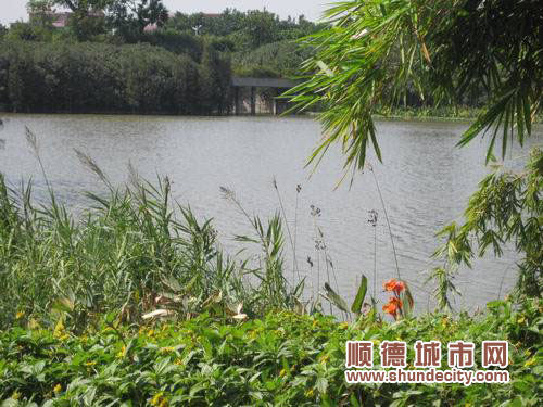 北滘：美化家園上檔次 生活方式要改變