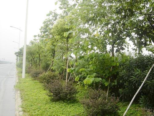 要道：盡管只是路過，也要賞心悅目