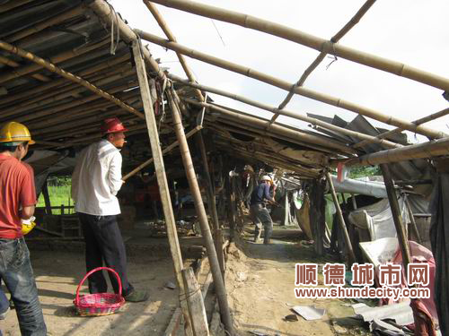 179個養豬場被清拆，打響整治養殖場第一炮