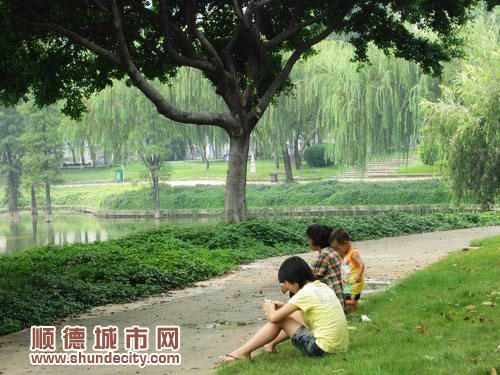 勒流：解決產(chǎn)業(yè)失衡問(wèn)題，致力實(shí)現(xiàn)城市化