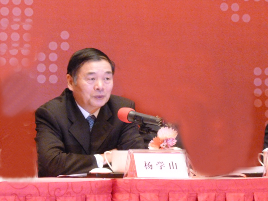 楊學山：選擇順德，產業結構和企業活力最吸引