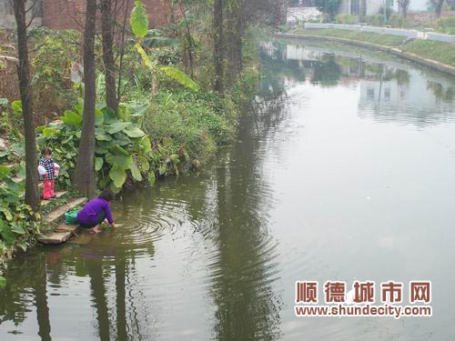 河涌整治，杏壇水鄉風貌還復來